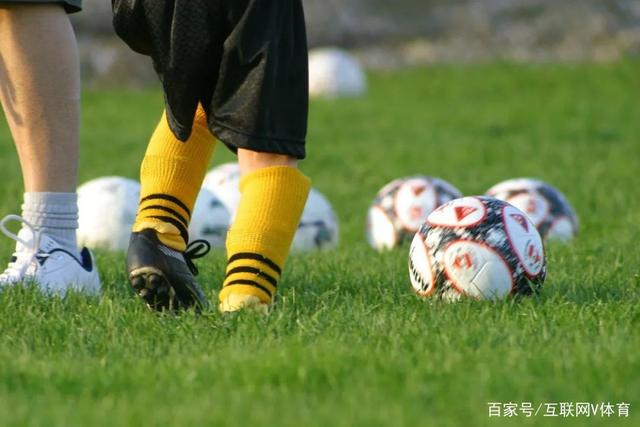 关于组织2026年“雏凤计划”国内选拔总营的通知